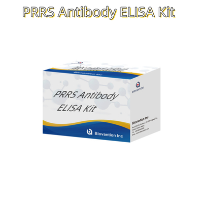 Teste ELISA para anticorpos do vírus PRRSV porcino