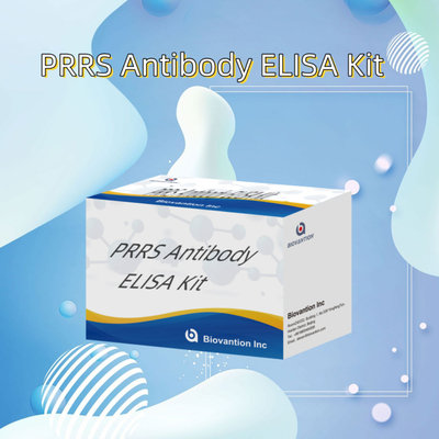 Teste ELISA para anticorpos do vírus PRRSV porcino