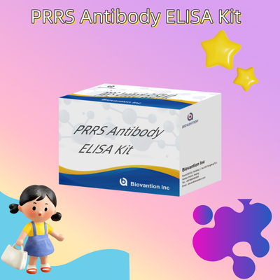 Teste ELISA para anticorpos do vírus PRRSV porcino