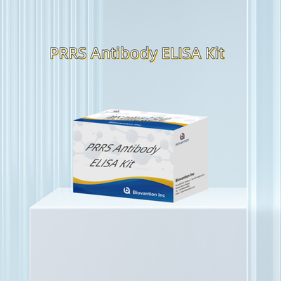 Teste ELISA para anticorpos do vírus PRRSV porcino