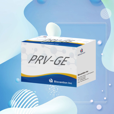 Teste ELISA para animais PRV-GB Pseudorábia porcina GB anticorpos veterinários Reagentes ivd