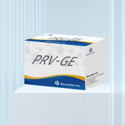 Teste ELISA para animais PRV-GB Pseudorábia porcina GB anticorpos veterinários Reagentes ivd