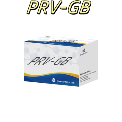 Especificidade Kit de Imunoanálise ELISA para detecção sorológica de reagente PRV