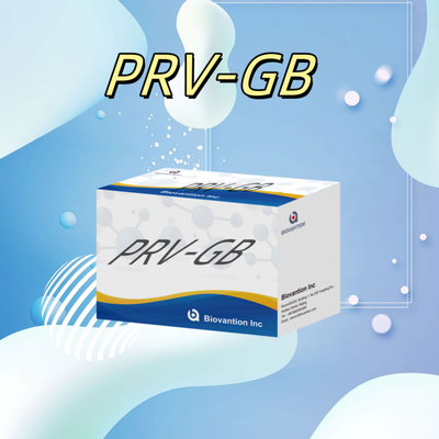 Especificidade Kit de Imunoanálise ELISA para detecção sorológica de reagente PRV