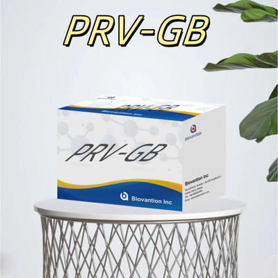 Especificidade Kit de Imunoanálise ELISA para detecção sorológica de reagente PRV