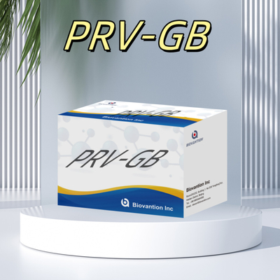 Especificidade Kit de Imunoanálise ELISA para detecção sorológica de reagente PRV