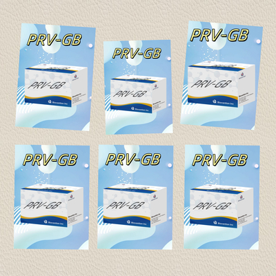 Especificidade Kit de Imunoanálise ELISA para detecção sorológica de reagente PRV