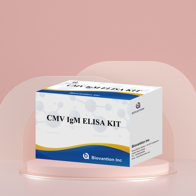 Biovantion CMV 18 Meses Prazo de validade Kit de ensaio de soro e plasma IVD ELISA