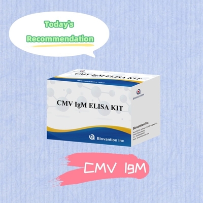 Biovantion CMV 18 Meses Prazo de validade Kit de ensaio de soro e plasma IVD ELISA