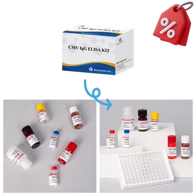Biovantion CMV 18 Meses Prazo de validade Kit de ensaio de soro e plasma IVD ELISA
