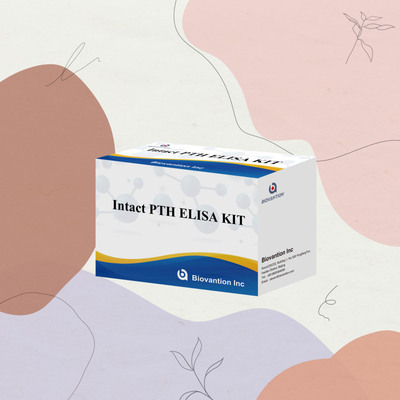 Kit de detecção de PTH intacto para reagente de detecção de plasma sérico humano