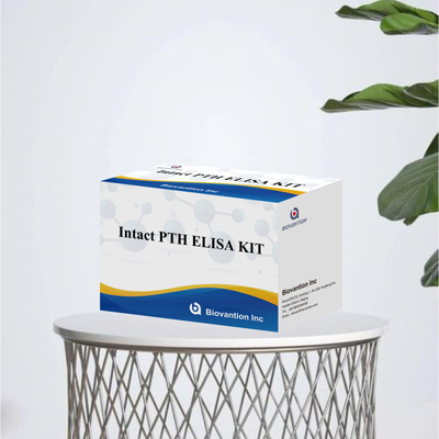 Kit de detecção de PTH intacto para reagente de detecção de plasma sérico humano