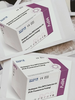 MPXV PCR Detecção de PCR em tempo real do vírus da varíola de macaco multiplexo liofilizado