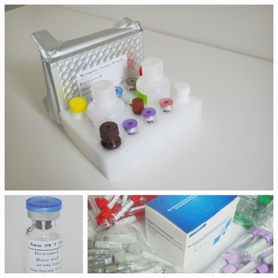 Kit de ensaio IGRA Elisa para detecção sensível e específica de antígenos