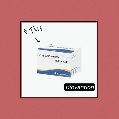 Testosterona livre Testes livres ELISA Kit de teste Competitivo-ELISA Princípio