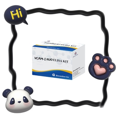 TLR4 humano RUO ELISA Kit de análise para diagnóstico médico RUO Utilização de investigação apenas