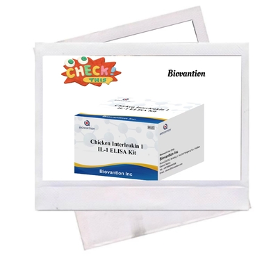 IL 1 ELISA Test Kit Interleucina-1 Sério Humano e Imunoanálise Plasmática