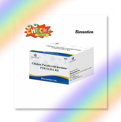 PTH ELISA Kit de Teste Serum de Enzima de Frango Imunossorbente Paratireóide