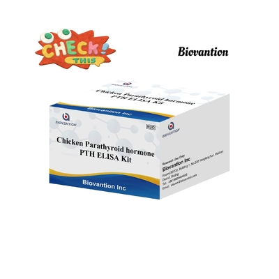 PTH ELISA Kit de Teste Serum de Enzima de Frango Imunossorbente Paratireóide