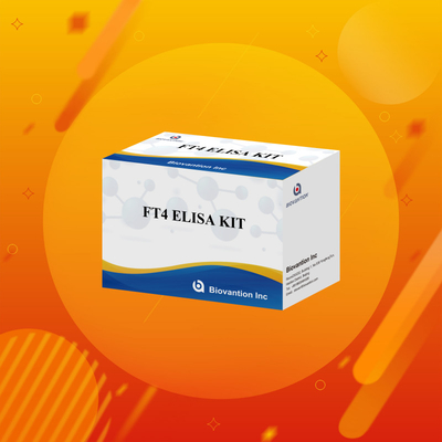 FT4 Kit Elisa com 95% de sensibilidade reagente de ensaio in vitro para uso humano