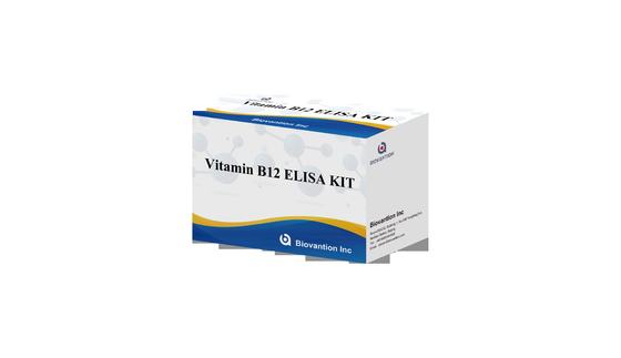 Kit de ensaio Elisa Vitamina B1 Ensaio em animais de produtos ligados a enzimas