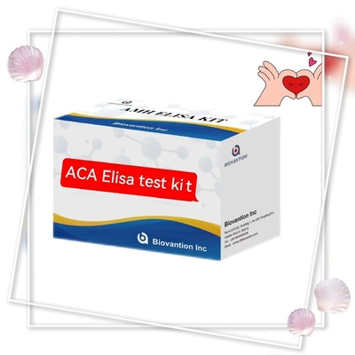 Anti ACA IgM Elisa Teste em animais Com 18 meses Especificidade de vida útil 2-3 horas