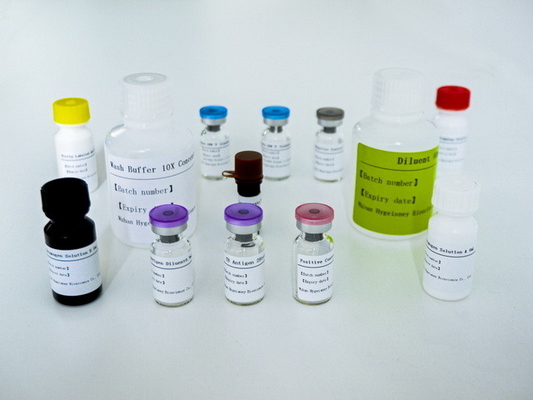 Kit de ensaio ELISA IGRA fácil de transmitir para tuberculose com longa duração e método de conservação 2C-8C