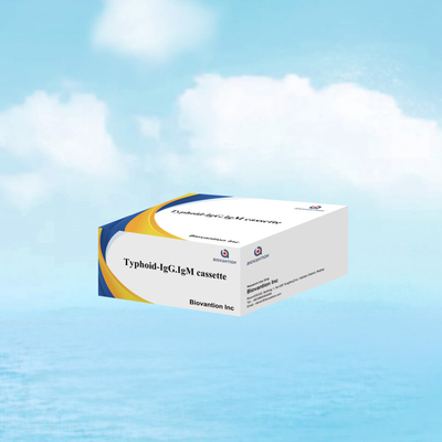 Venda a quente Tifoide IgM IgG Para Laboratórios Hospitais Tifoide Fiebre Kit de teste rápido de sangue