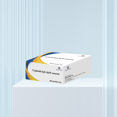 Venda a quente Tifoide IgM IgG Para Laboratórios Hospitais Tifoide Fiebre Kit de teste rápido de sangue