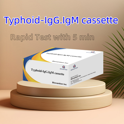 Venda a quente Tifoide IgM IgG Para Laboratórios Hospitais Tifoide Fiebre Kit de teste rápido de sangue