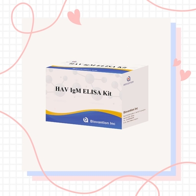 HAV IgM Elisa Test Hepatite A Kit de Diagnóstico In Vitro Enzima Immunoassay