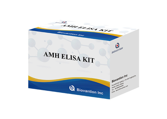 Hormônio anti- mulleriano AMH Kit de ensaio Elisa Para uso humano com plasma sérico