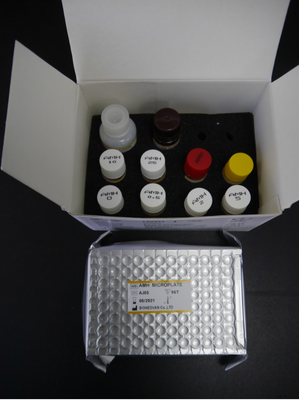 Hormônio anti- mulleriano AMH Kit de ensaio Elisa Para uso humano com plasma sérico