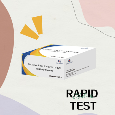CVA16 Reagente de diagnóstico IVD Vírus de Coxsackie A16 CVA16-IgM Anticorpo Cassete WB/S/P Teste rápido de ouro coloidal