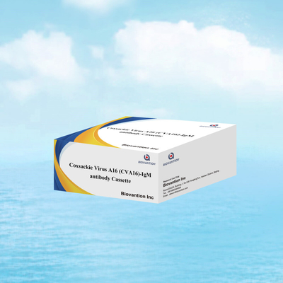 CVA16 Reagente de diagnóstico IVD Vírus de Coxsackie A16 CVA16-IgM Anticorpo Cassete WB/S/P Teste rápido de ouro coloidal