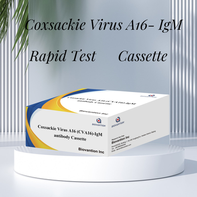 CVA16 Reagente de diagnóstico IVD Vírus de Coxsackie A16 CVA16-IgM Anticorpo Cassete WB/S/P Teste rápido de ouro coloidal