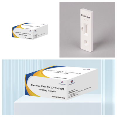 CVA16 Reagente de diagnóstico IVD Vírus de Coxsackie A16 CVA16-IgM Anticorpo Cassete WB/S/P Teste rápido de ouro coloidal