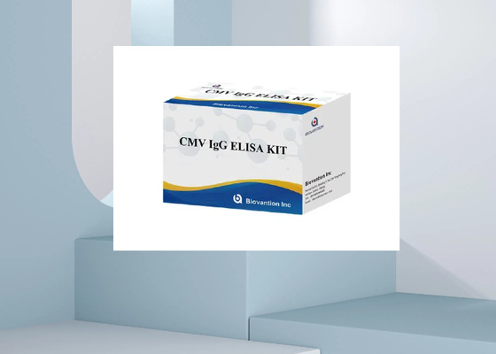 CMV IgG Kit de teste Elisa Kit de diagnóstico ELISA IgG anticorpos contra citomegalovírus