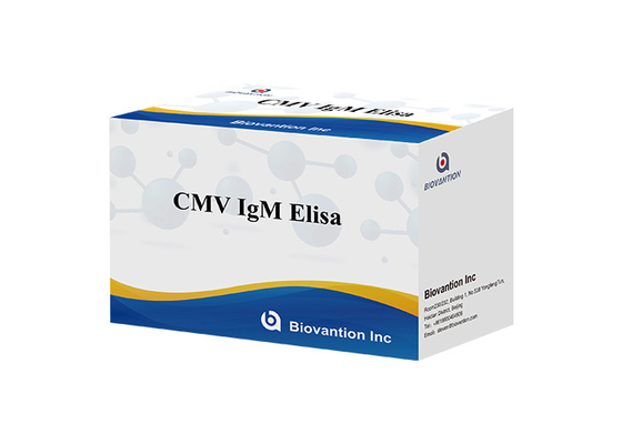 CMV IgG Kit de teste Elisa Kit de diagnóstico ELISA IgG anticorpos contra citomegalovírus