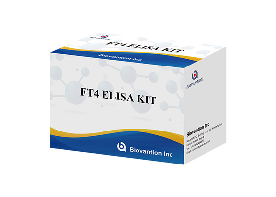 FT4 Kit de ensaio Elisa Kit de Imunoanálise ligado a enzimas livre de tiroxina Teste quantitativo