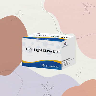Diagnóstico Médico do VHS-1 IgM Kit de Teste Elisa com 18 meses de validade Origem