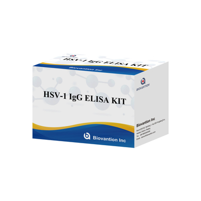 Kit de ensaio de imunodeposição do HSV-1 IgG de alta sensibilidade para detecção sorológica Tipo de amostra de plasma