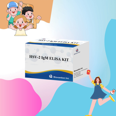 High Specificity Elisa Test Kit HSV-2 IgM para resultados rápidos e precisos reagente médico para uso humano