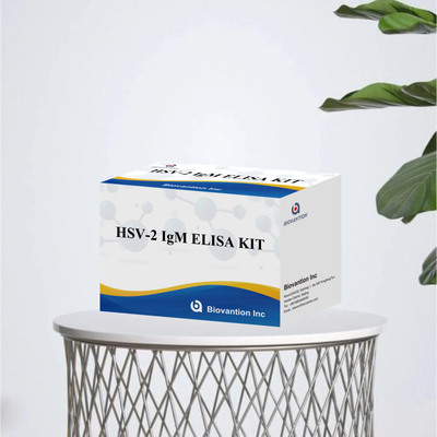 High Specificity Elisa Test Kit HSV-2 IgM para resultados rápidos e precisos reagente médico para uso humano