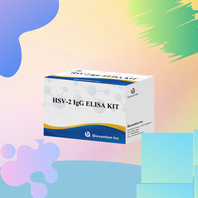 Reagente de diagnóstico do HSV-2 IgG internacionalmente aplicável 96 Testes Kit de ensaio ELISA para diagnóstico médico