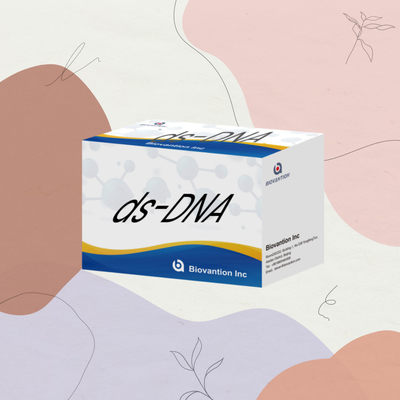Biovantion ds-DNA Sensitivity ELISA Test Kit Reagente IVD para uso humano