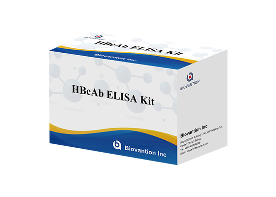 Kit de ensaio HBcAb ELISA Assay Kit de detecção de anticorpos Qualitativo