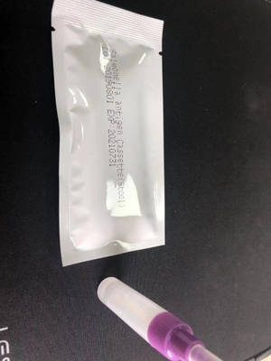 Caixa de teste rápido de Salmonella IgG/IgM S.Tifoide Kit de teste de diagnóstico fácil de usar