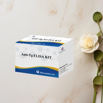 Anti-Tg ELISA Test Kit Thyroglobulin Ab In Vitro Determinação quantitativa