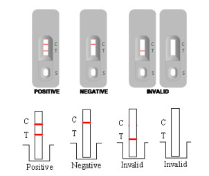 GAS de alta precisão Groud A Stretococcal Antigen Rapid Test Kit 50 testes leitura rápida